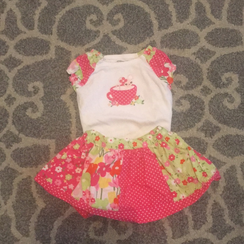 Gymboree floral patched skirt/ teacup top